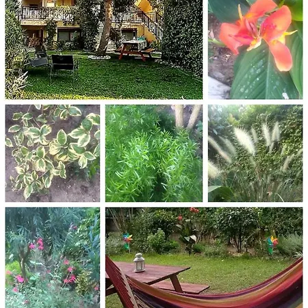 Ormos House Apartment Ormos Panagias