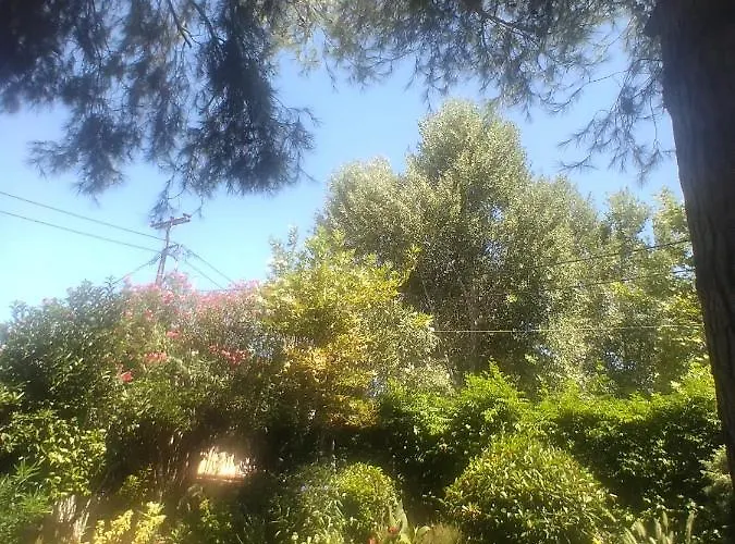 Ormos House