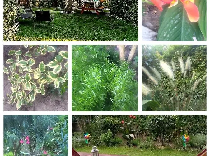 Ormos House 公寓 奥马斯帕纳吉亚斯